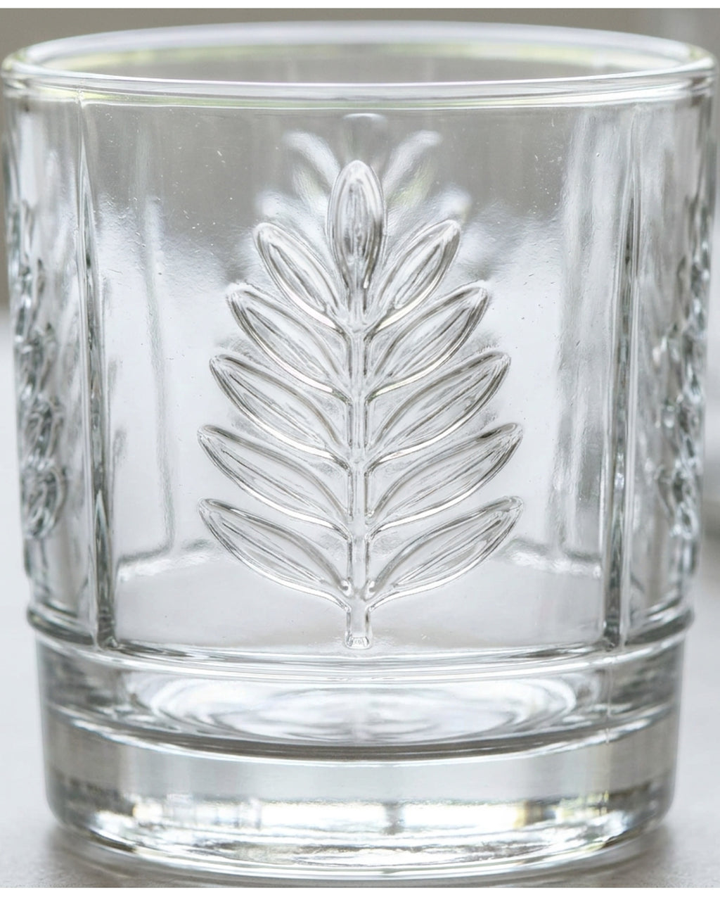 Hjxwt Twelve Ounce Six Panel Fern Embossed Glass Tumbler Clear - Detail view