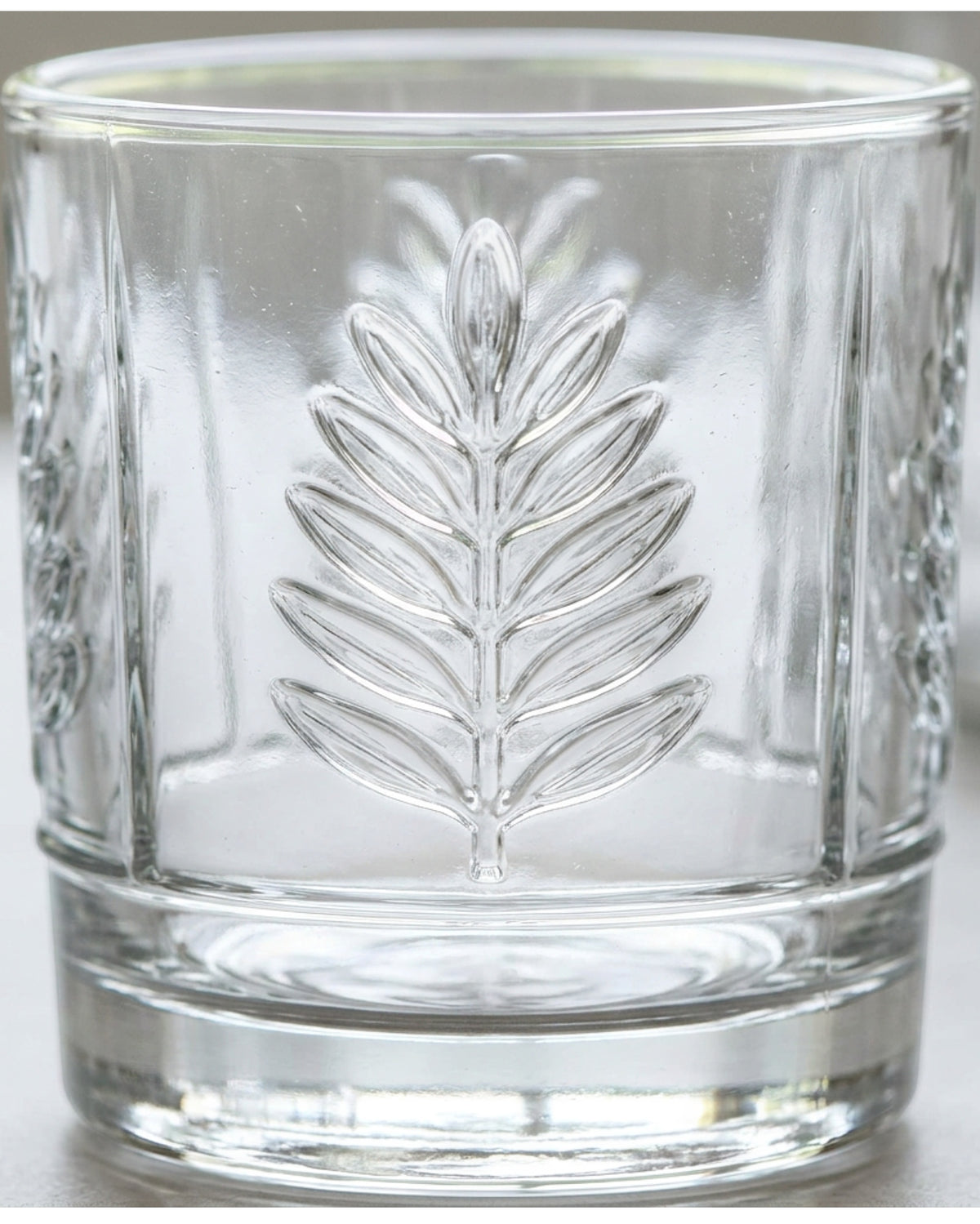 Hjxwt Twelve Ounce Six Panel Fern Embossed Glass Tumbler Clear - Detail view