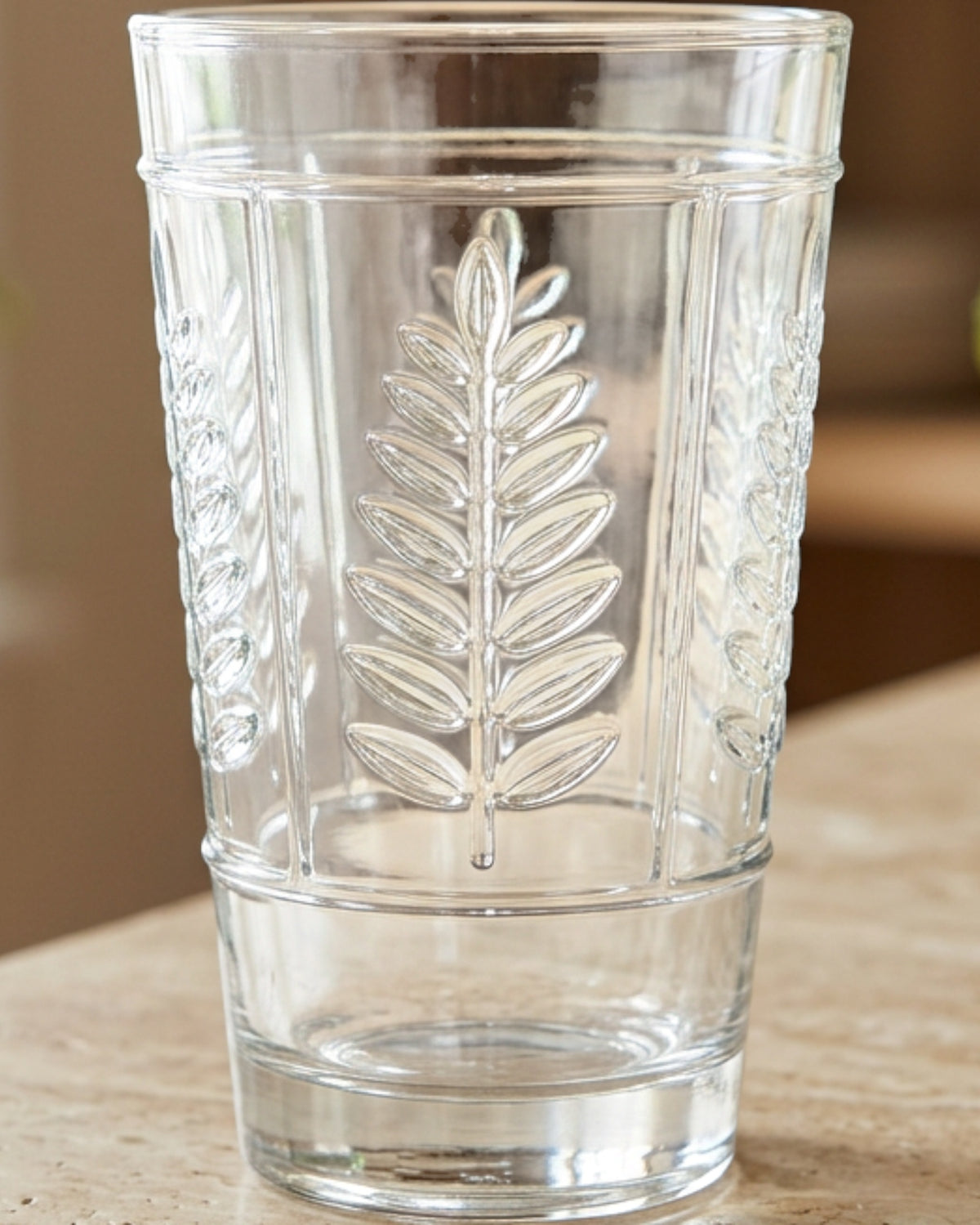 Hjxwt Twelve Ounce Six Panel Fern Embossed Glass Tumbler Clear - Lifestyle view